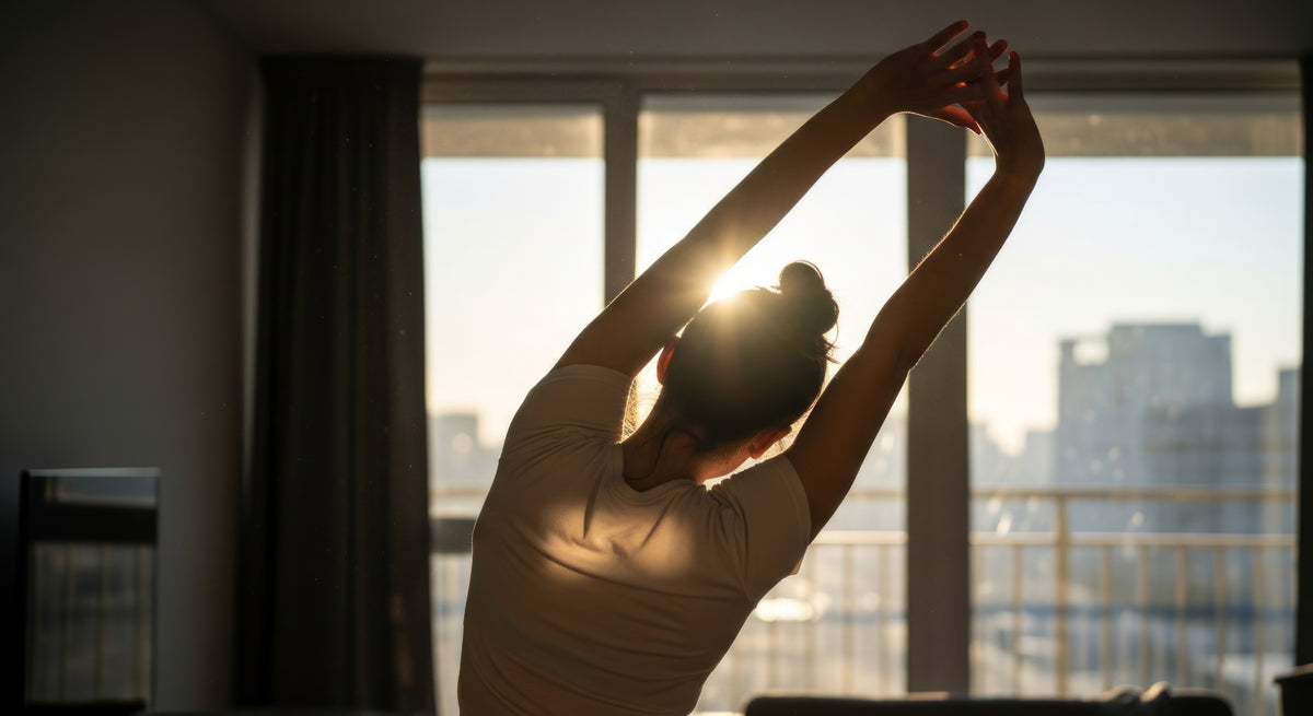 longevity-e12-stretch-sunrise