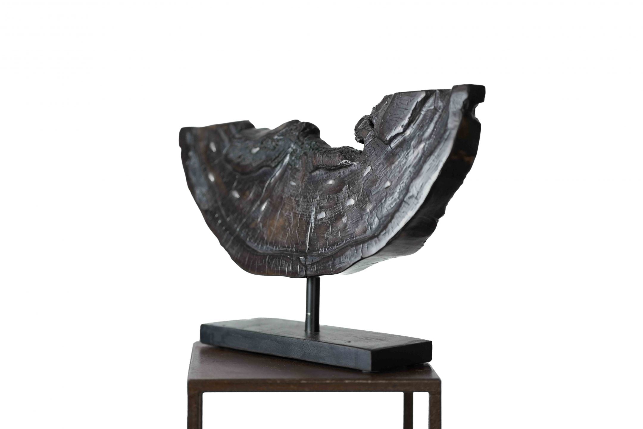 sculpture III-JJ Pella-Luxvivendi